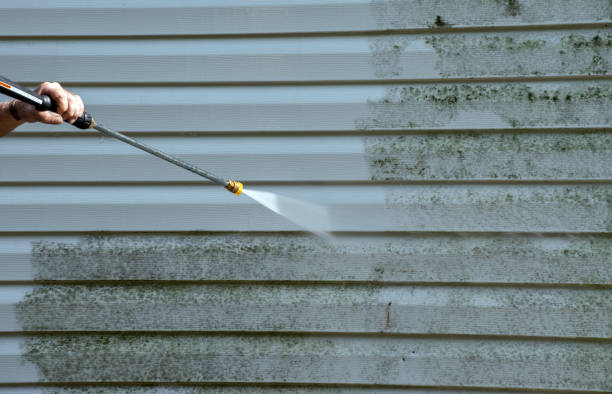 Best Roof Washing  in Greilickville, MI